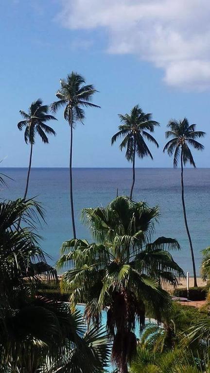Las Palmas Inn Rincón Exteriör bild